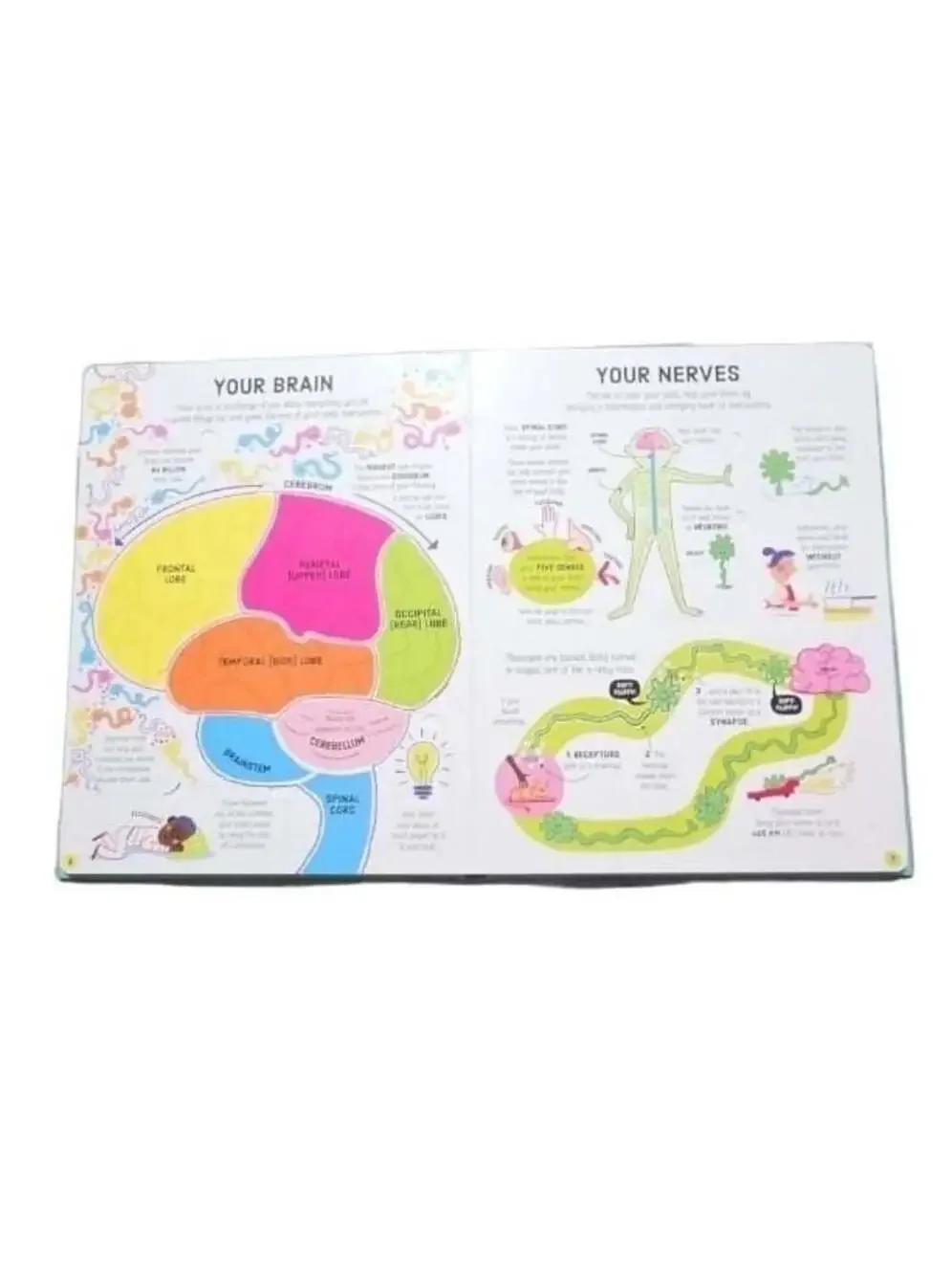 usborne brand new